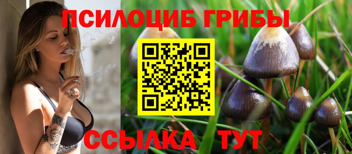 Галлюциногенные грибы ЛСД  Вход с VPN  Ноябрьск 
